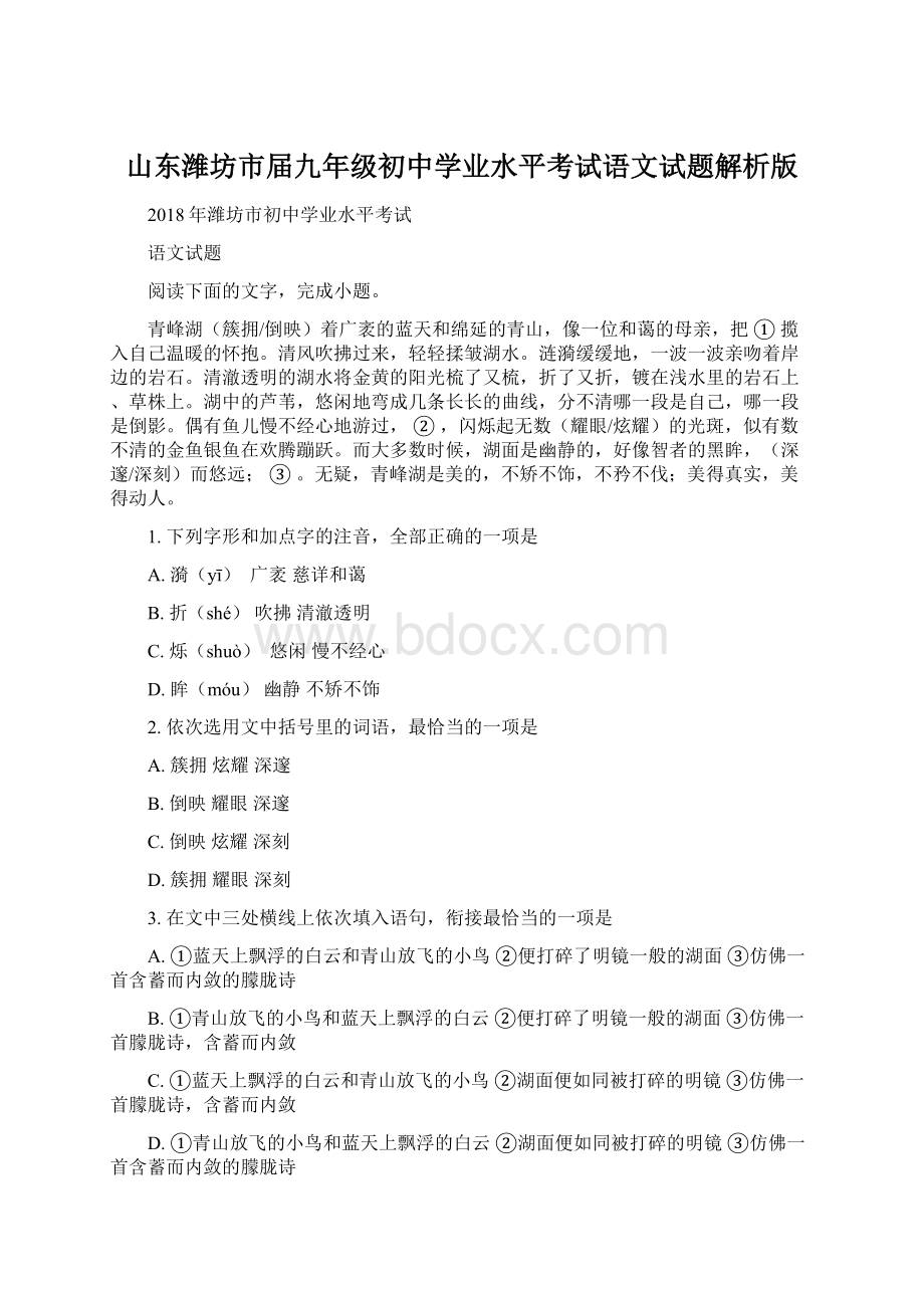 山东潍坊市届九年级初中学业水平考试语文试题解析版.docx