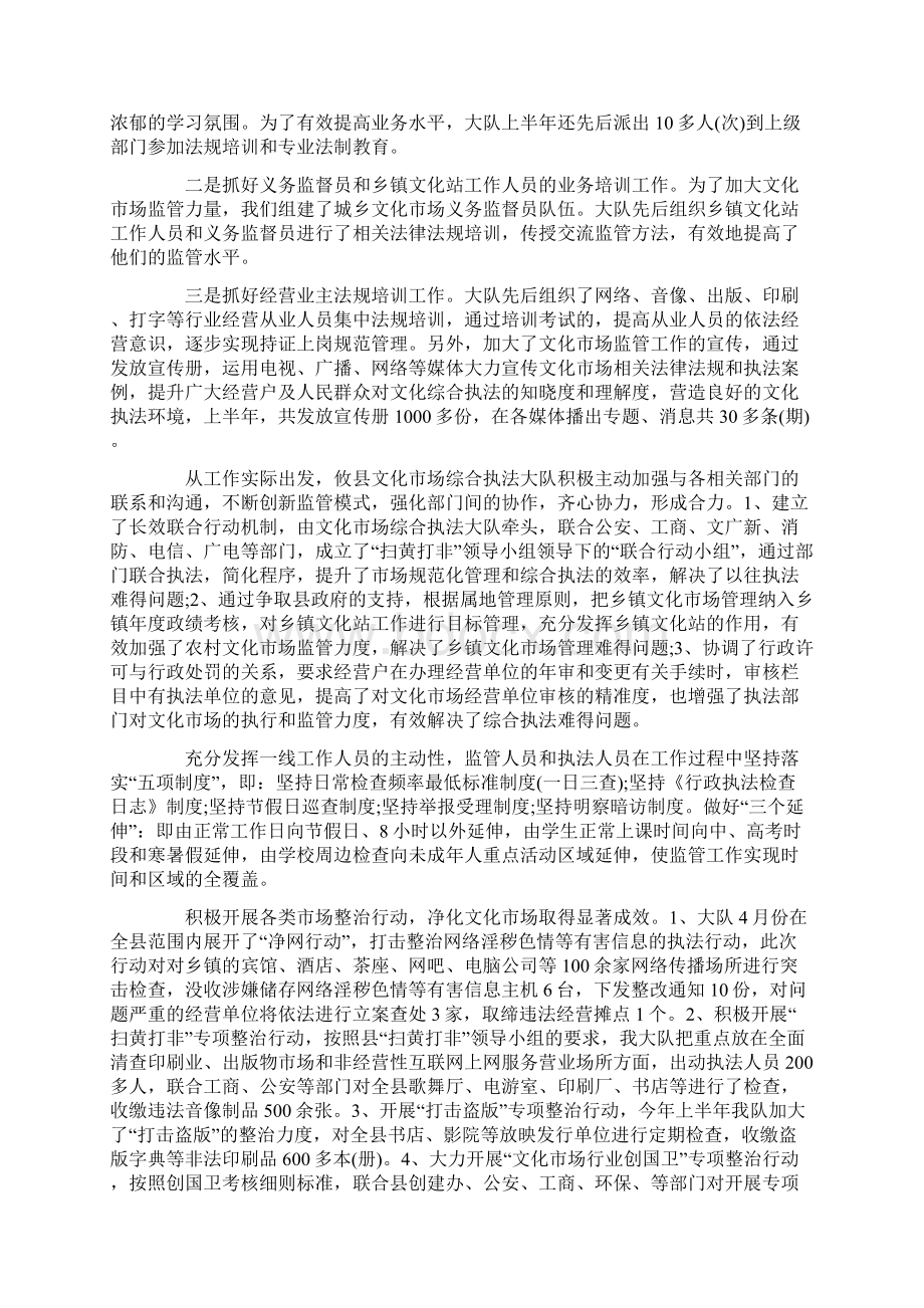 文化市场综合执法支队个人年终总结Word文件下载.docx_第3页