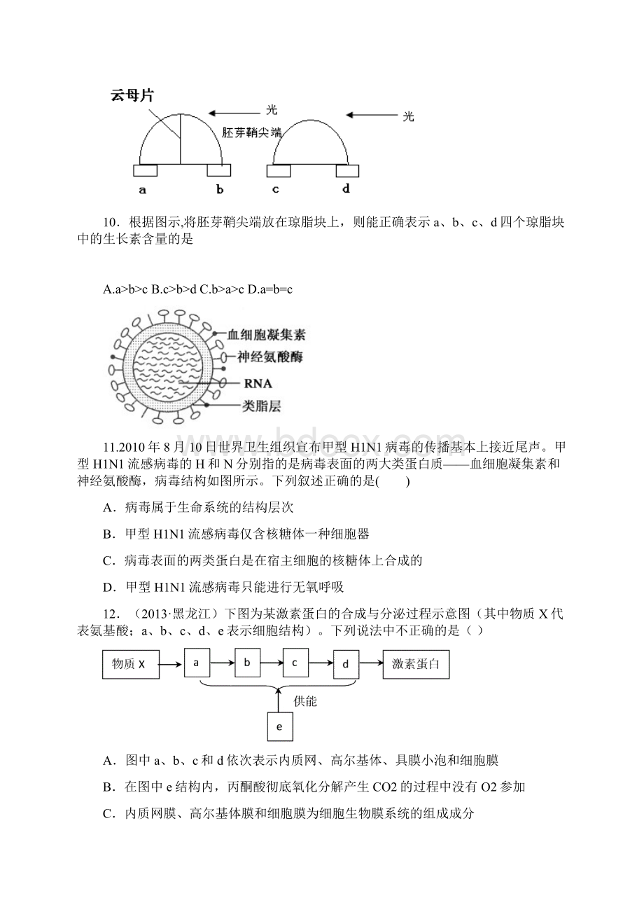 生物学科业务考试.docx_第3页