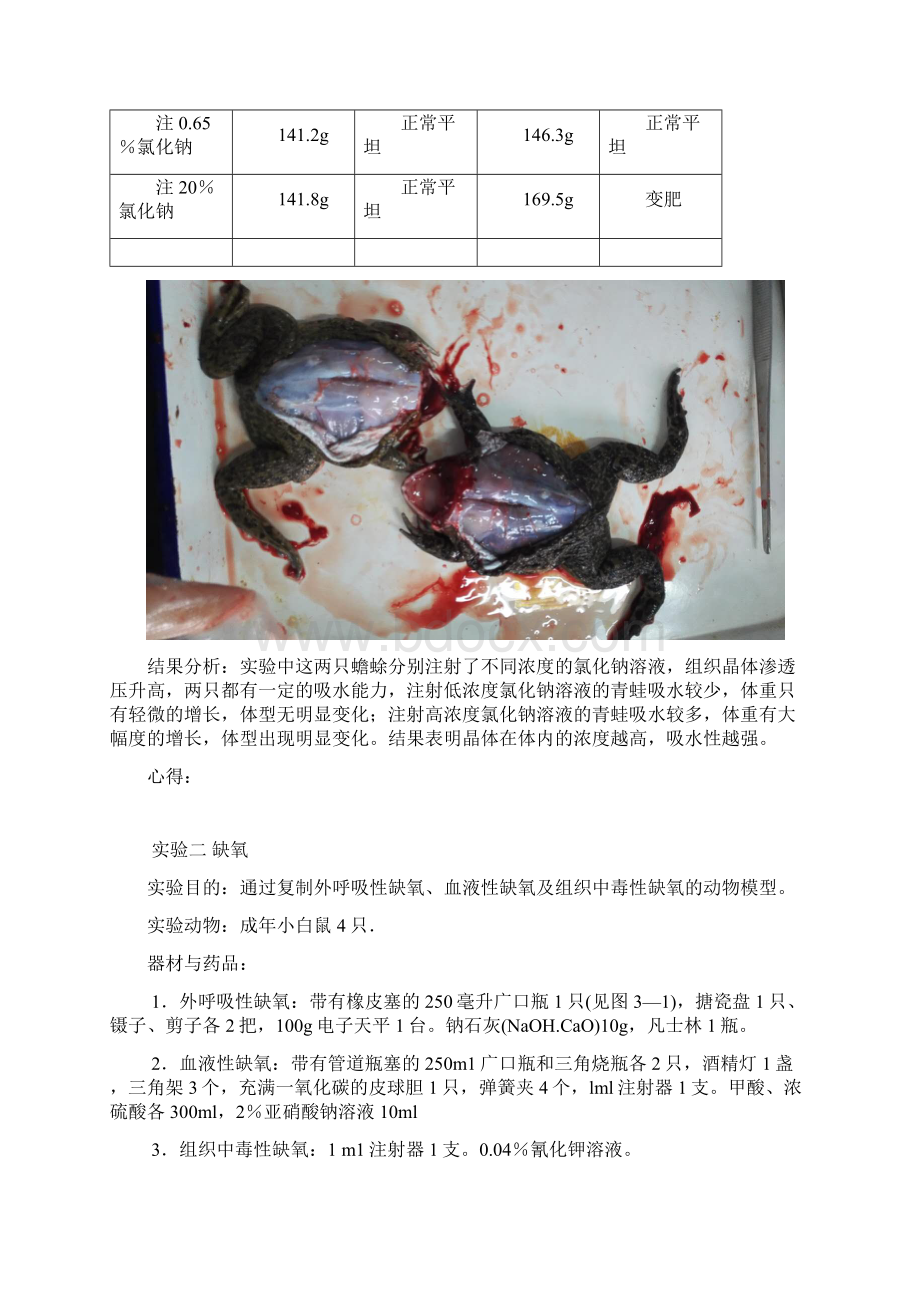 病理生理实验报告文档格式.docx_第2页