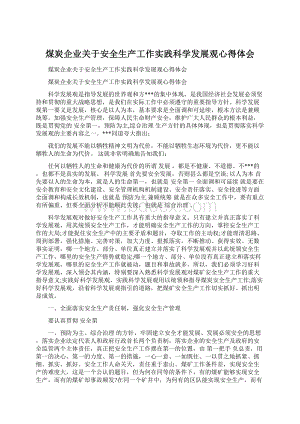 煤炭企业关于安全生产工作实践科学发展观心得体会Word格式.docx