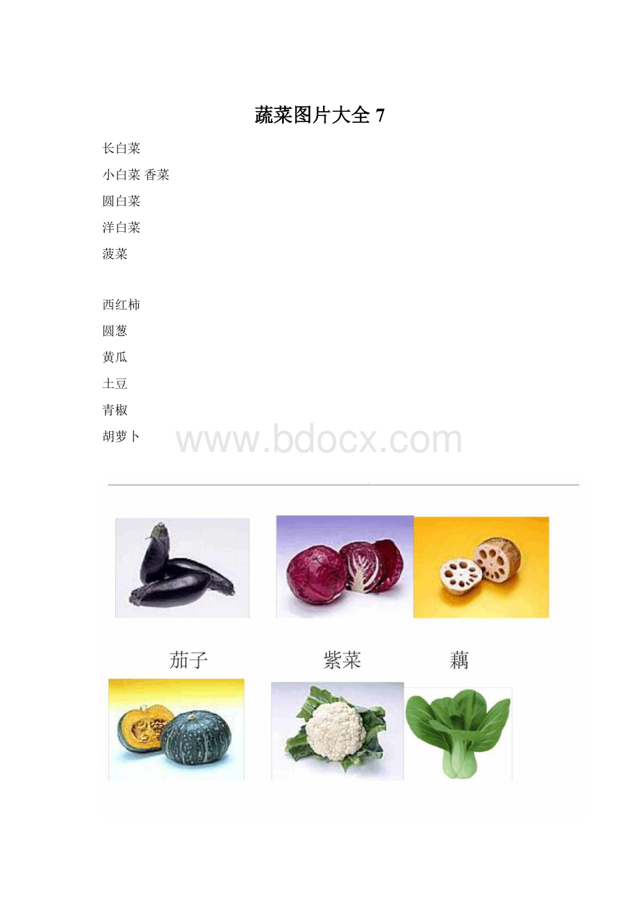 蔬菜图片大全7文档格式.docx