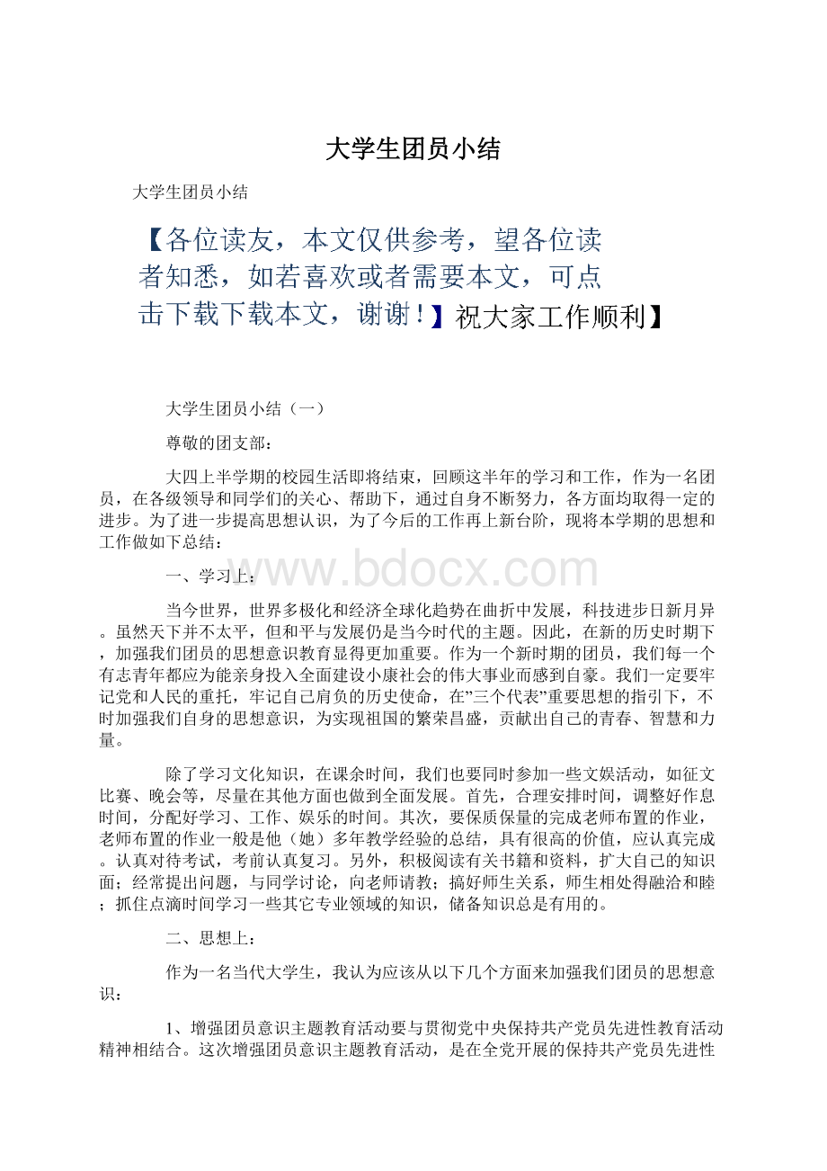 大学生团员小结.docx