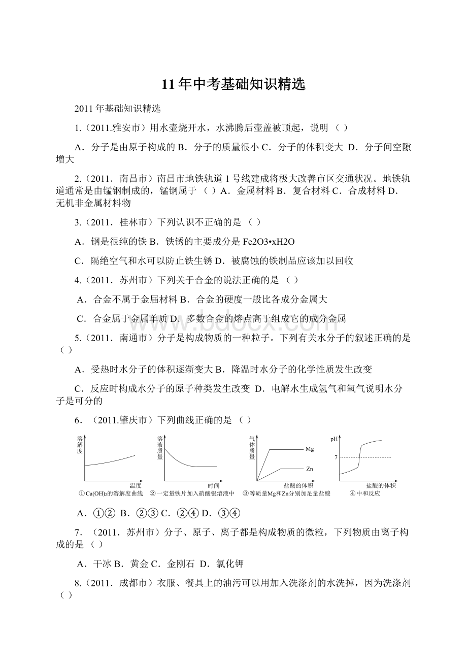 11年中考基础知识精选.docx