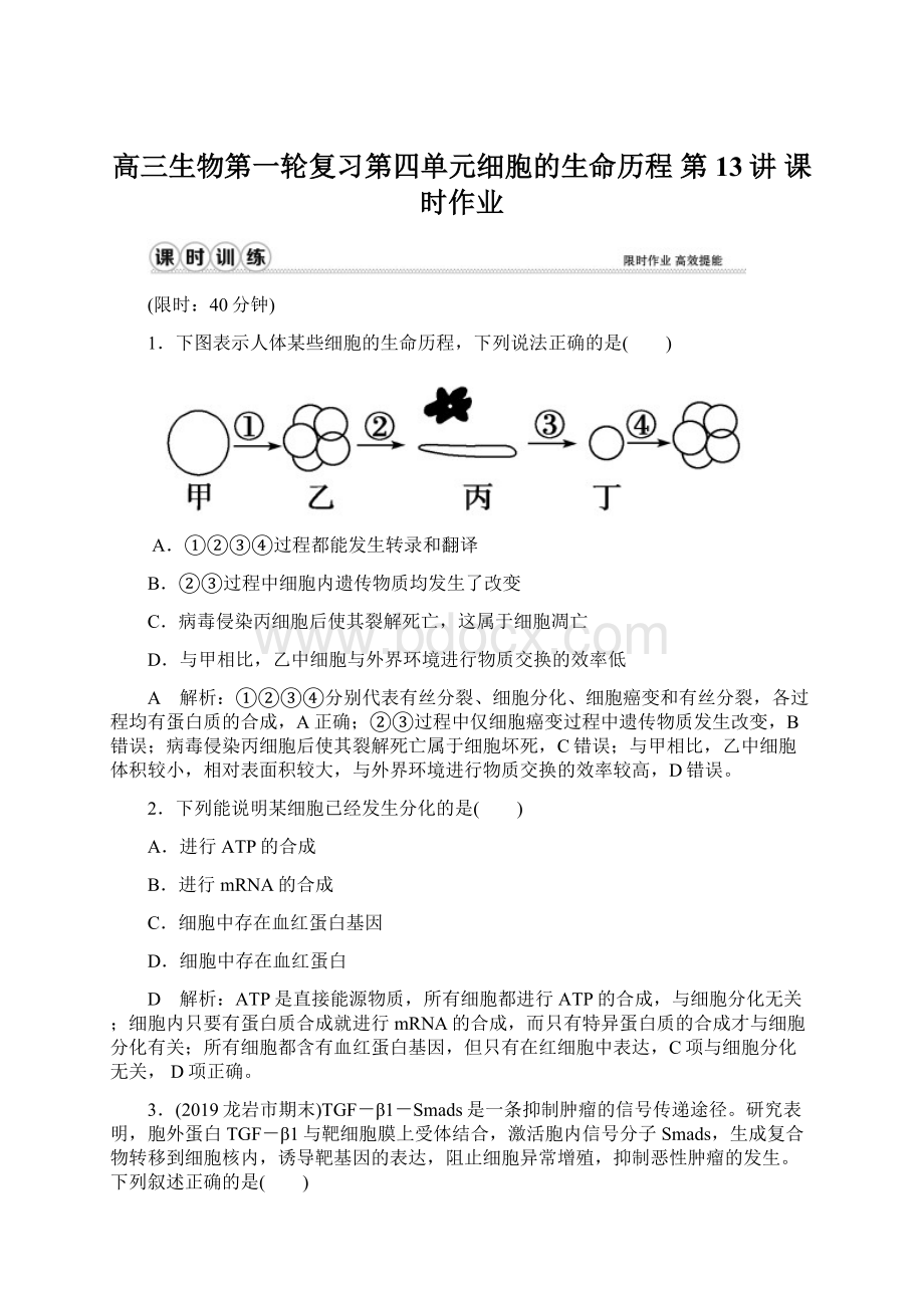 高三生物第一轮复习第四单元细胞的生命历程 第13讲课时作业Word文档下载推荐.docx_第1页