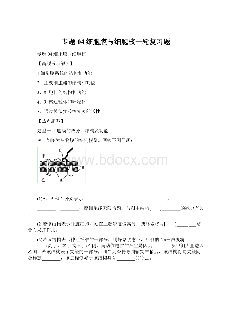 专题04细胞膜与细胞核一轮复习题Word格式.docx_第1页