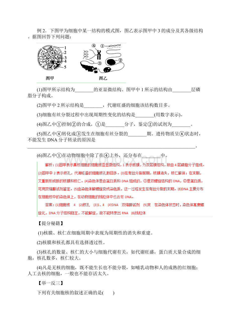 专题04细胞膜与细胞核一轮复习题.docx_第3页