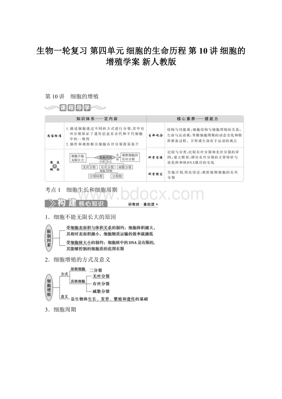 生物一轮复习 第四单元 细胞的生命历程 第10讲 细胞的增殖学案 新人教版.docx