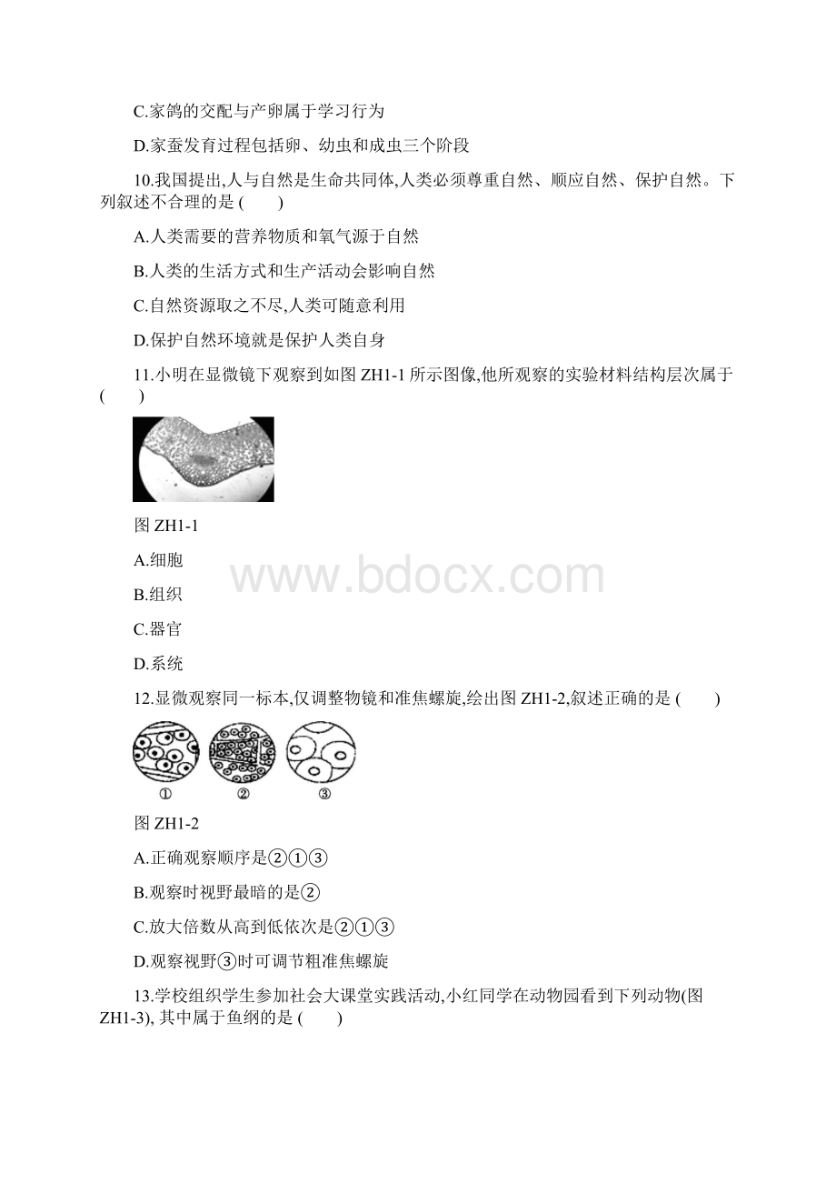 北京市中考生物复习综合训练01含答案Word格式文档下载.docx_第3页