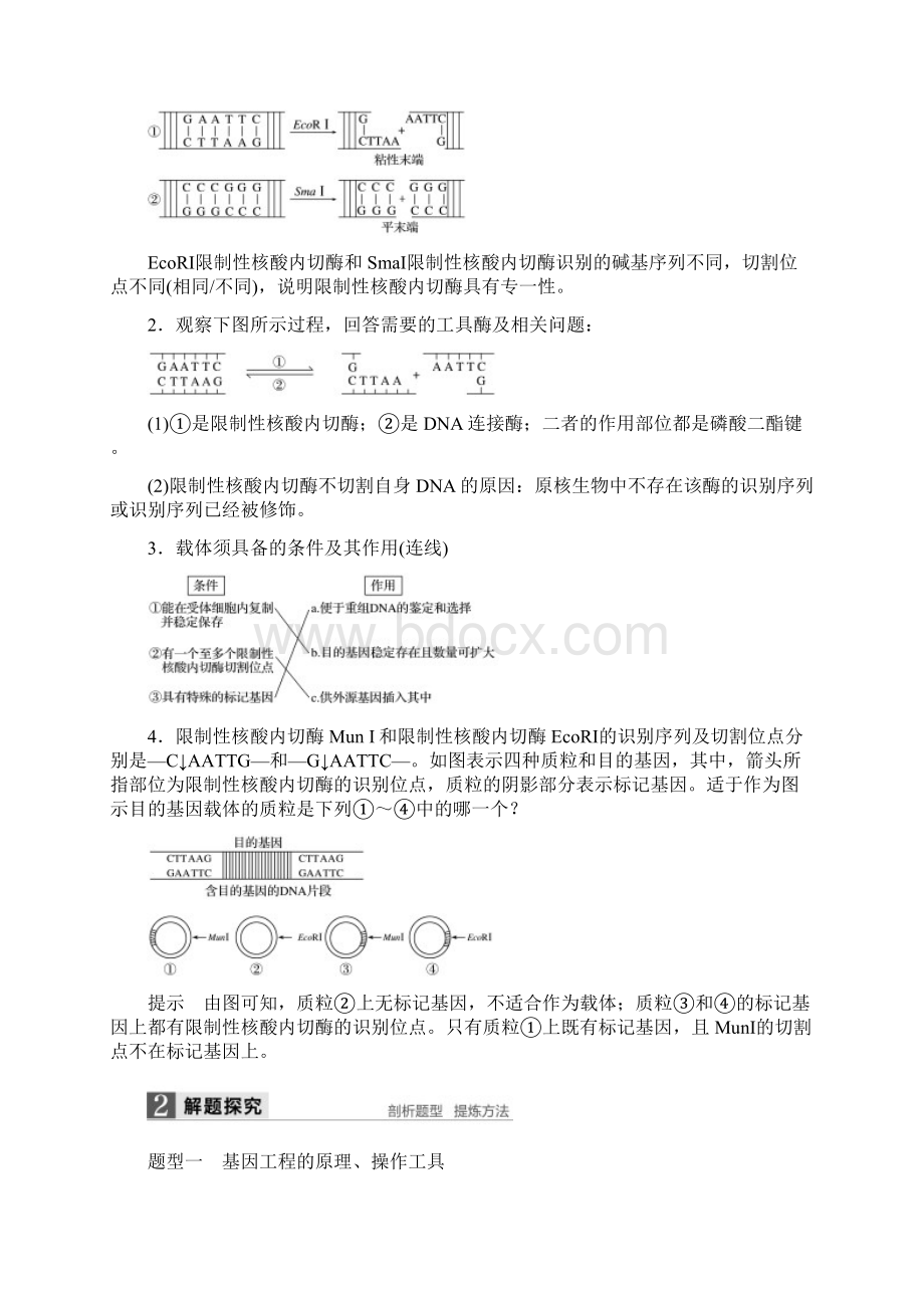 高考生物总复习第10单元现代生物科技专题第36讲基因工程Word文件下载.docx_第2页