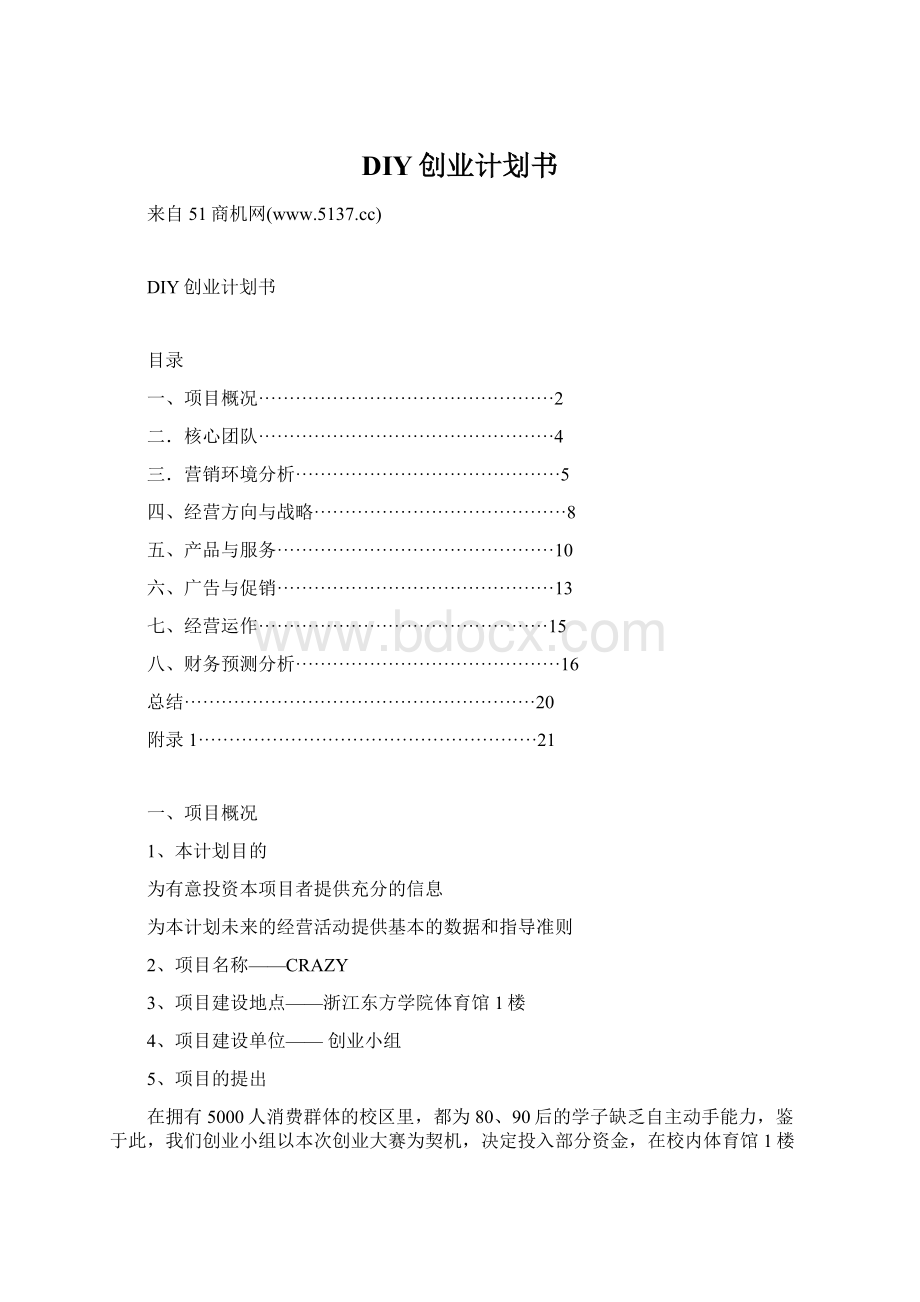 DIY创业计划书Word文档格式.docx