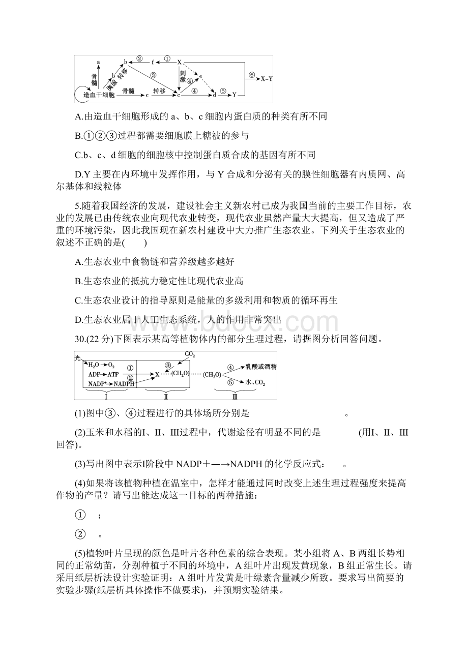 高级优秀重组全.docx_第2页