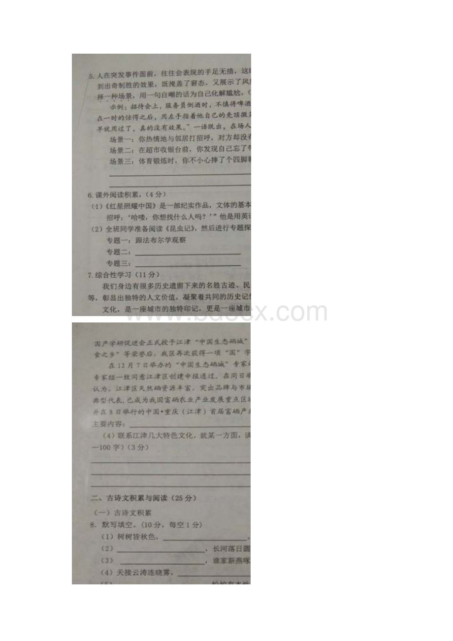 重庆市江津区学年八年级语文上学期期末学业.docx_第2页