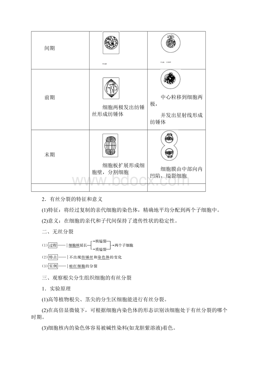 高中生物第6章第1节第2课时动物细胞的有丝分裂无丝分裂和观察根尖分生组织细胞的有丝分裂教学案Word格式.docx_第2页