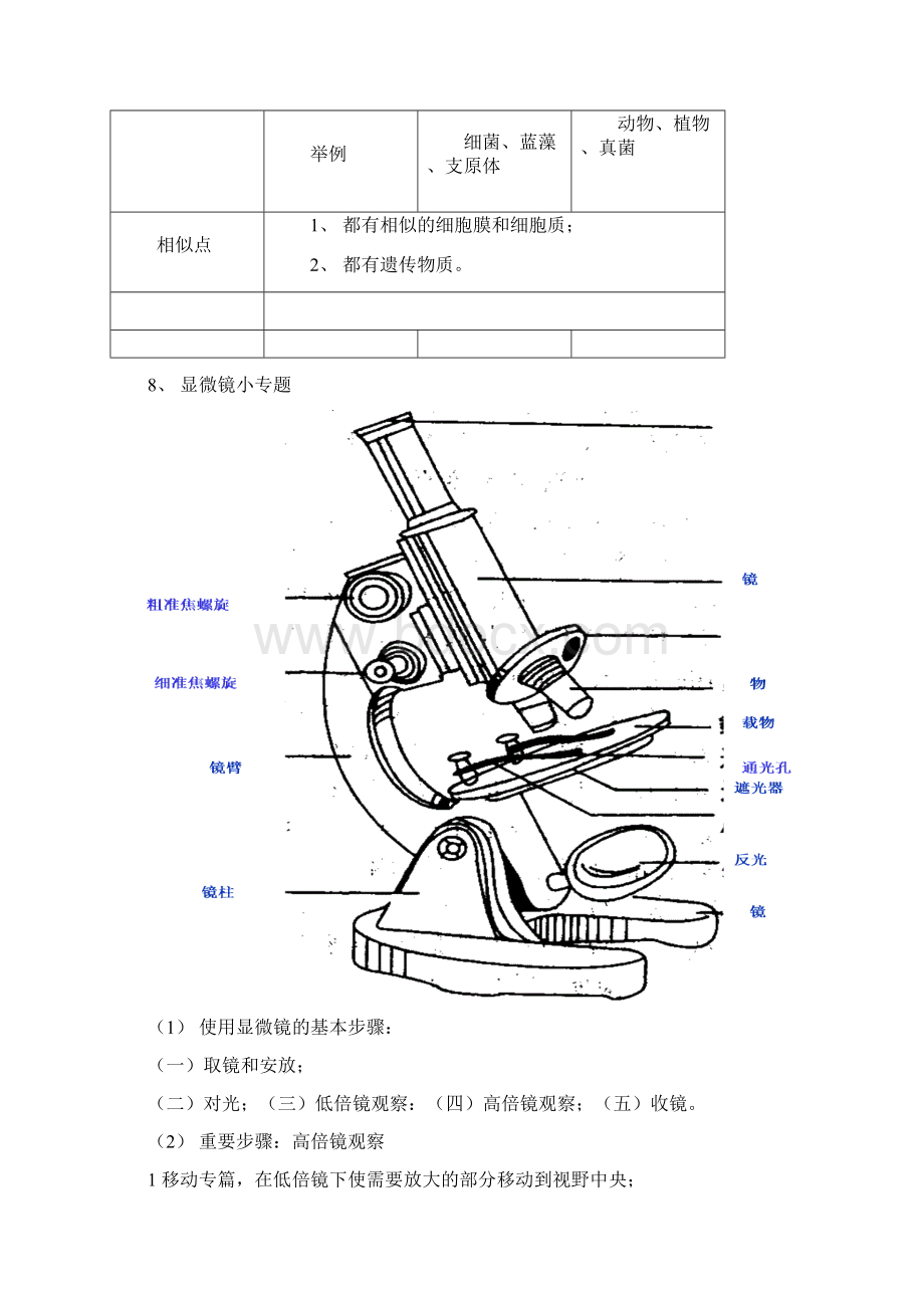 高中生物必修一笔记.docx_第2页