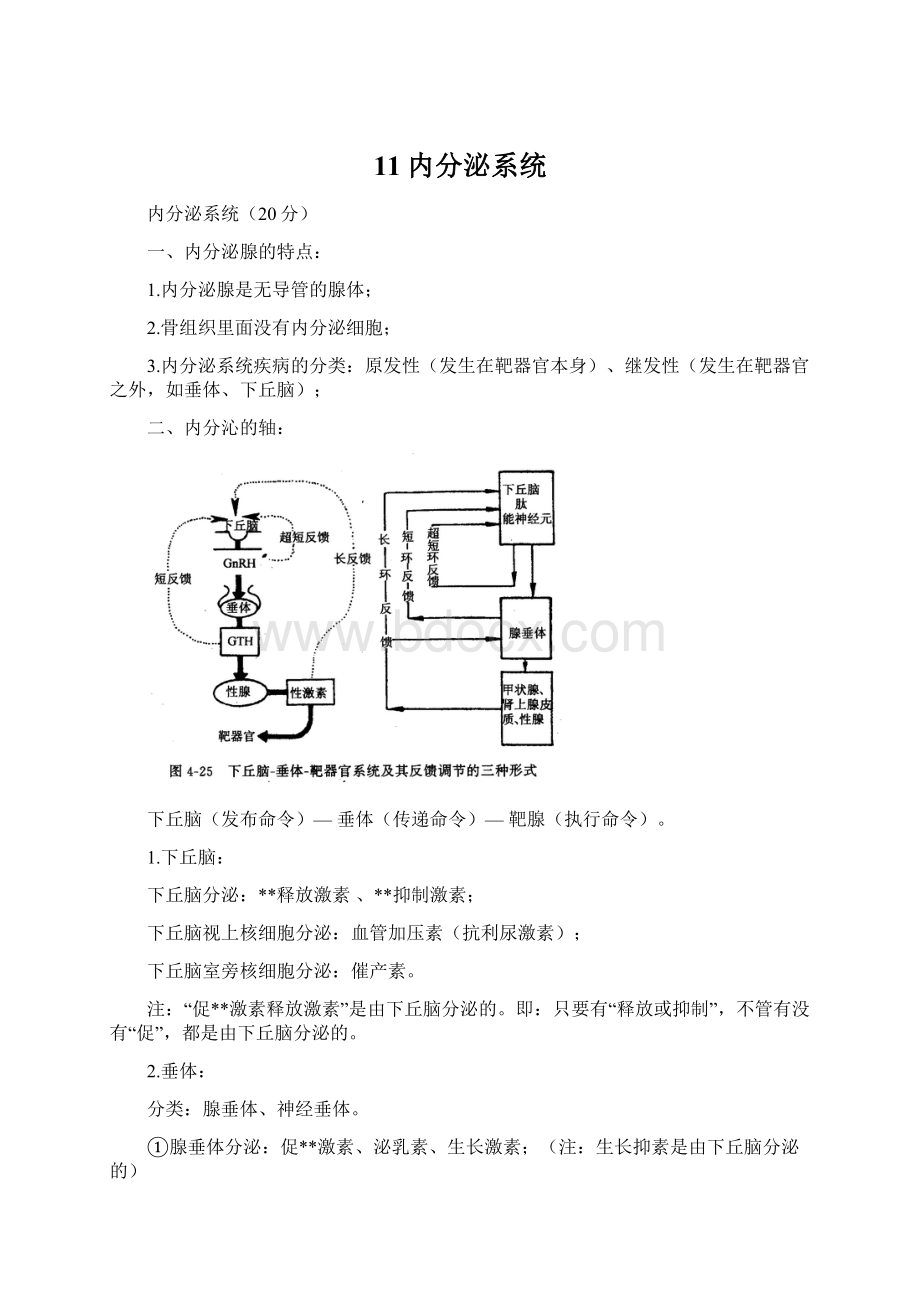 11内分泌系统.docx_第1页