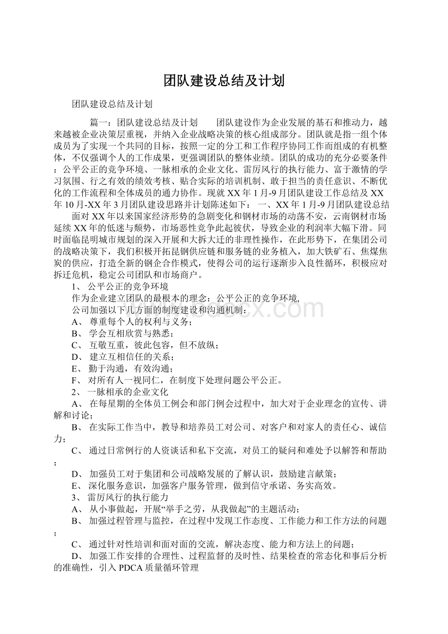 团队建设总结及计划.docx