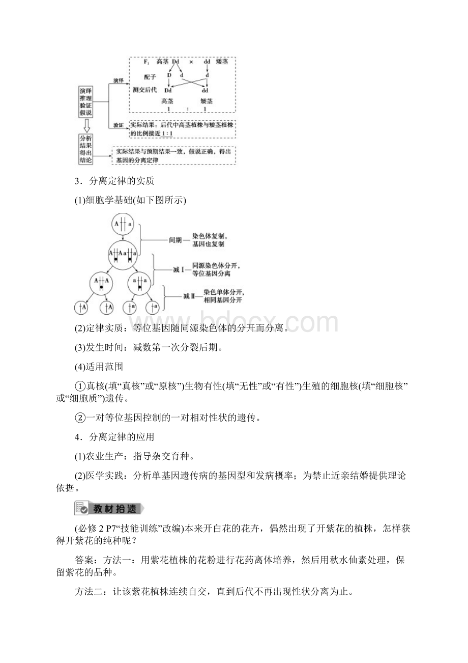 届高中生物一轮复习人教版 基因的分离定律 学案.docx_第2页