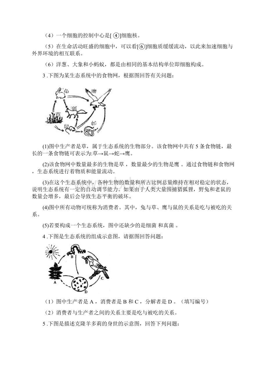 中考复习初中生物识图题例析word版Word格式文档下载.docx_第2页