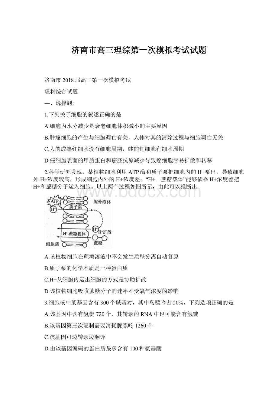 济南市高三理综第一次模拟考试试题Word格式文档下载.docx_第1页