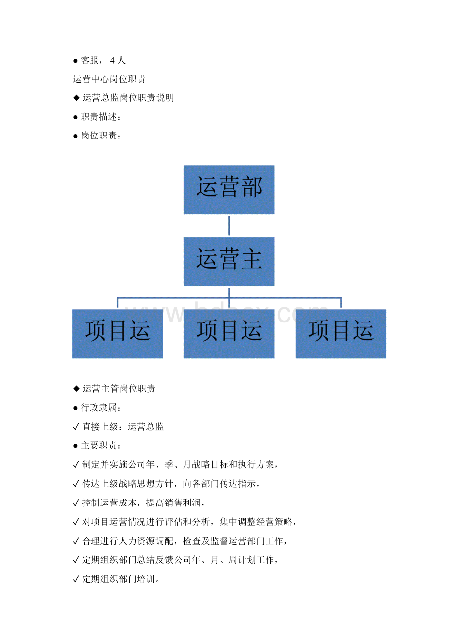 电子商务运营部企业组织结构及岗位职责Word文档格式.docx_第3页