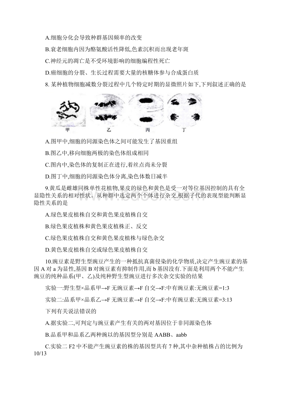 河南省洛阳市届高三上学期尖子生第一次联考生物试题.docx_第3页
