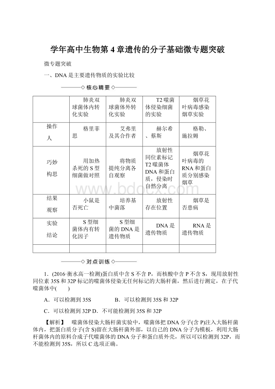 学年高中生物第4章遗传的分子基础微专题突破Word格式.docx