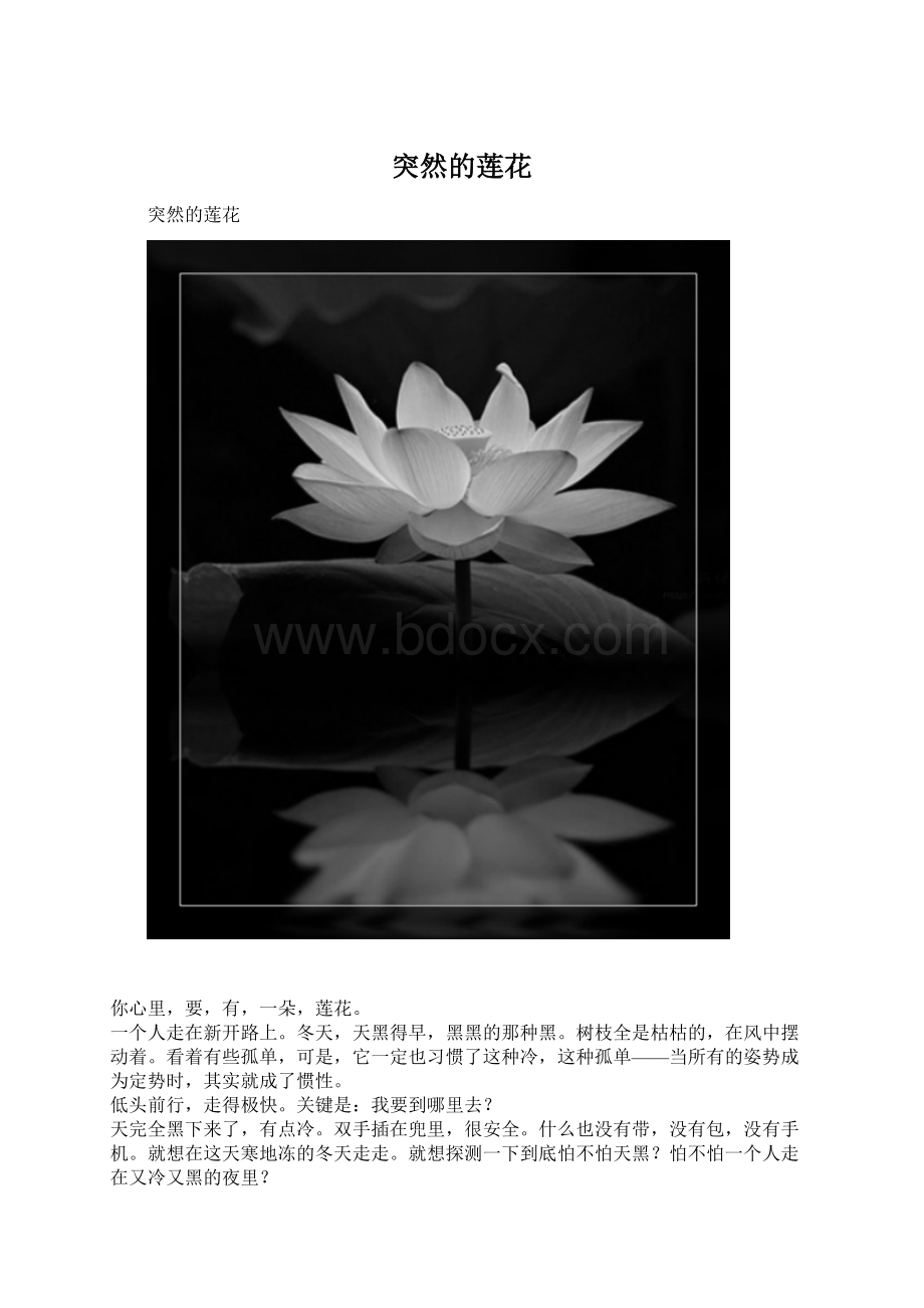 突然的莲花Word文档下载推荐.docx_第1页