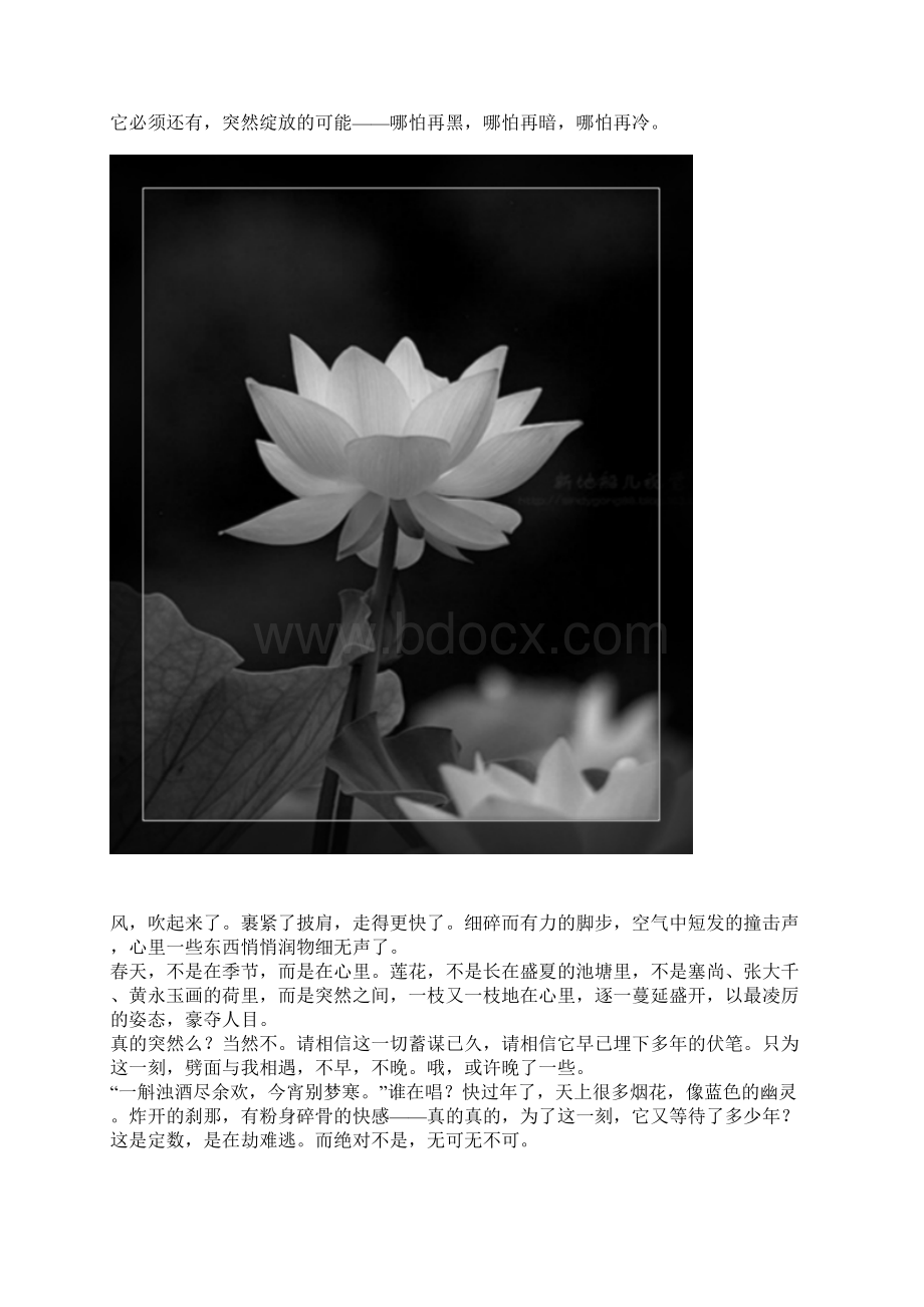 突然的莲花Word文档下载推荐.docx_第3页