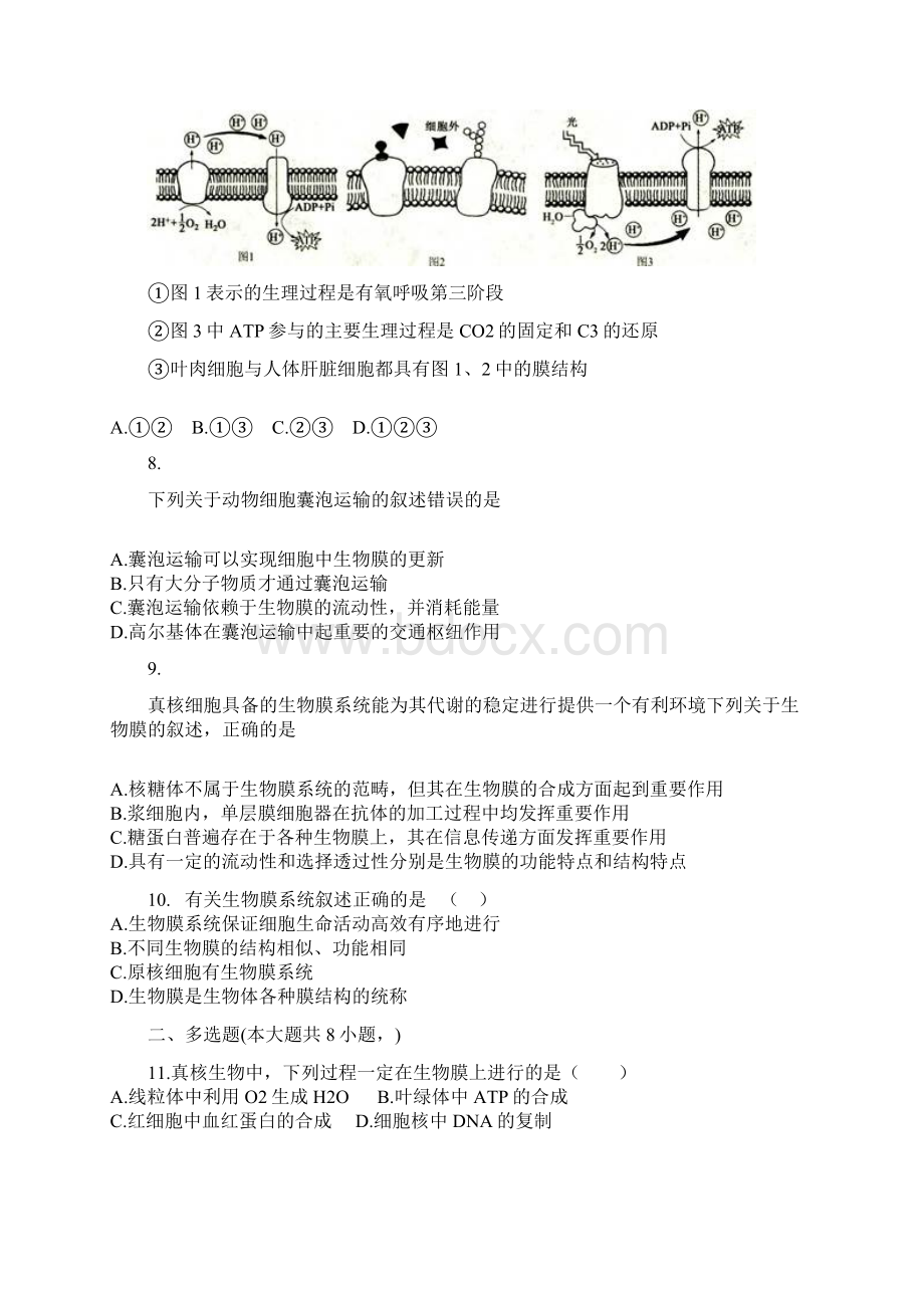 高三生物一轮专项复习生物膜系统的结构与功能综合检测0904418.docx_第3页