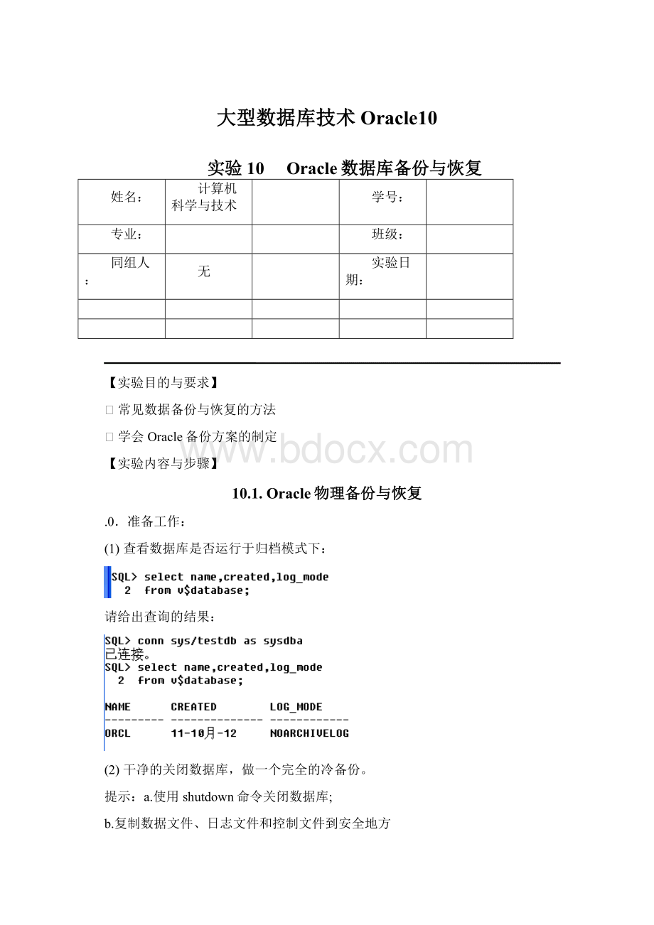 大型数据库技术Oracle10.docx