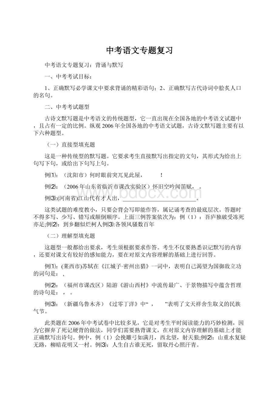 中考语文专题复习文档格式.docx_第1页