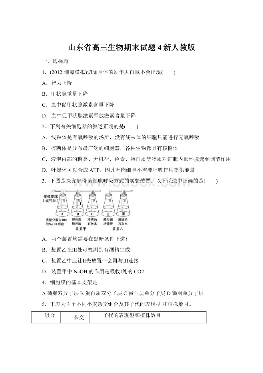 山东省高三生物期末试题4新人教版.docx