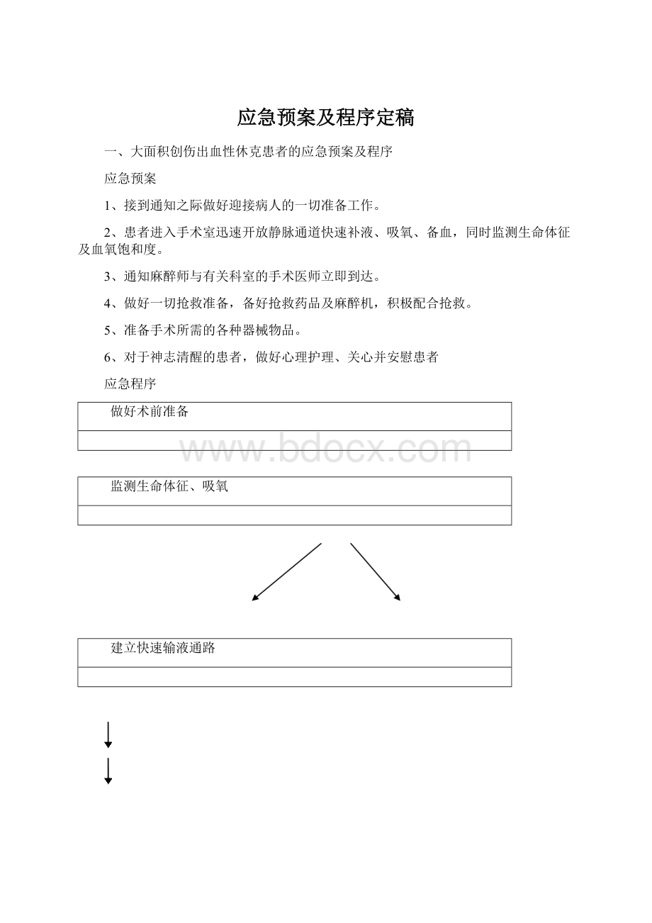 应急预案及程序定稿Word文档格式.docx