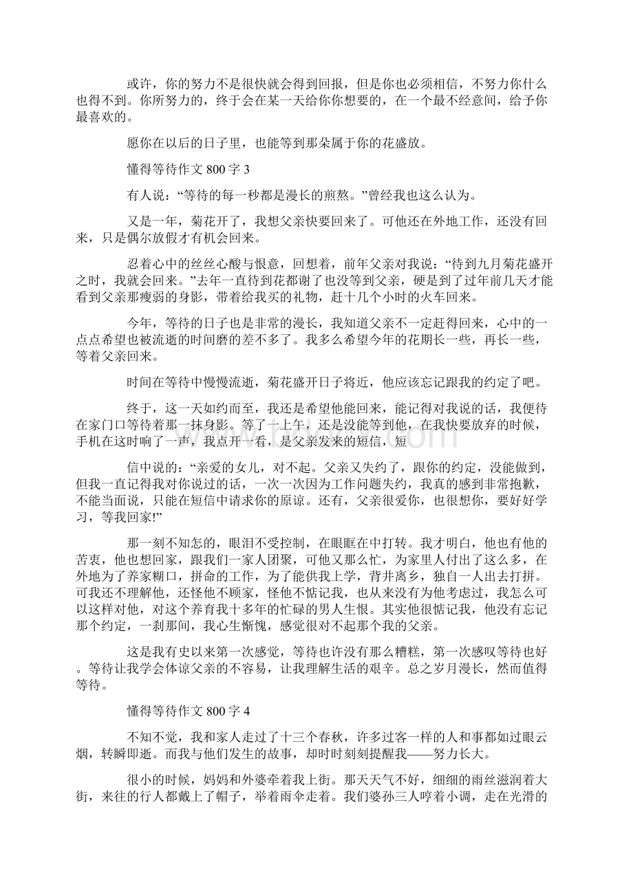 懂得等待作文800字5篇.docx_第3页