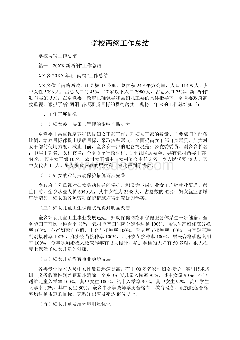 学校两纲工作总结文档格式.docx