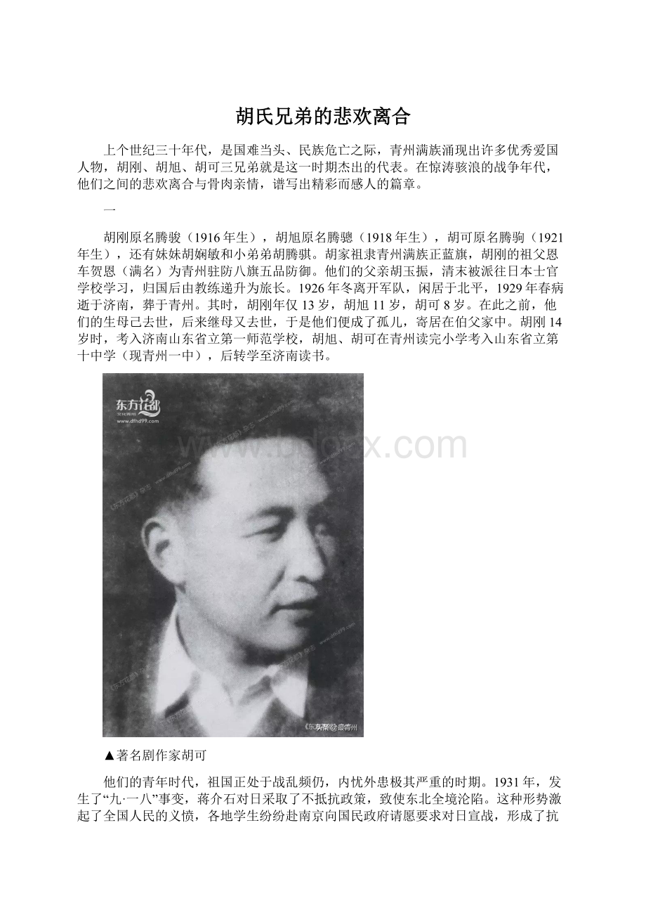 胡氏兄弟的悲欢离合.docx_第1页