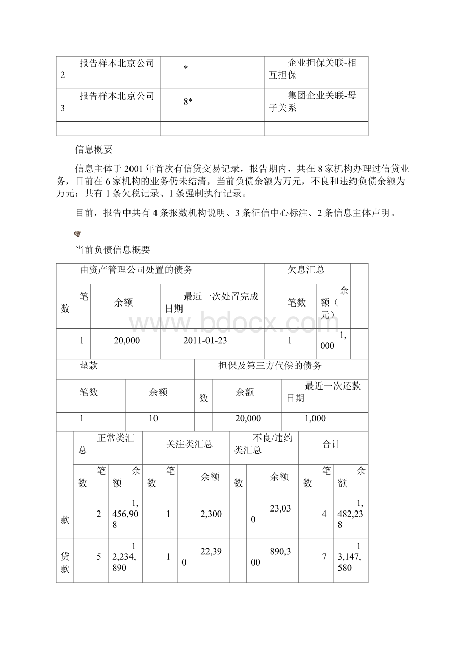 征信报告模板.docx_第3页