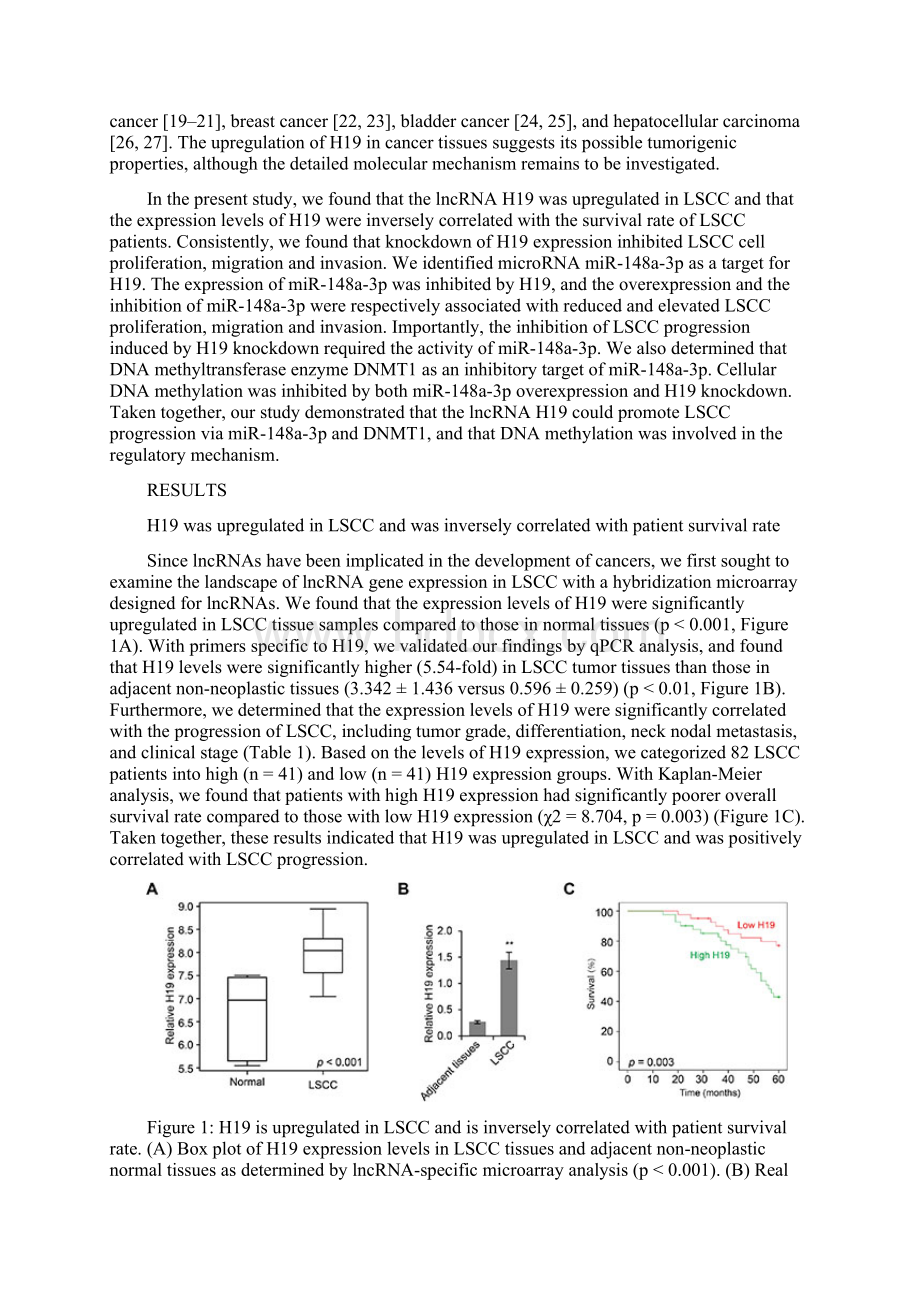 lncRNA H19 miR148a3p.docx_第2页