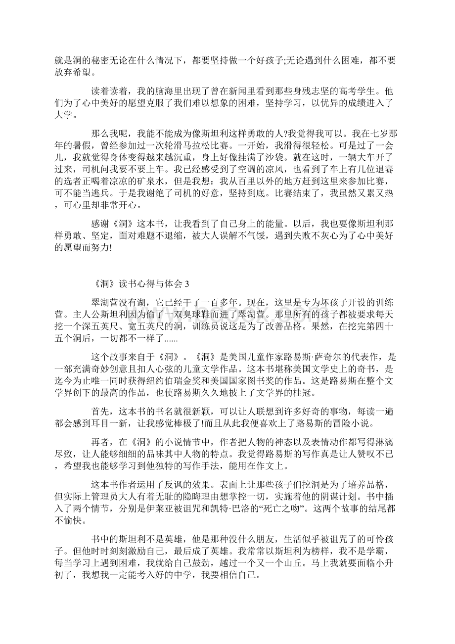 《洞》读书心得与体会Word格式文档下载.docx_第2页