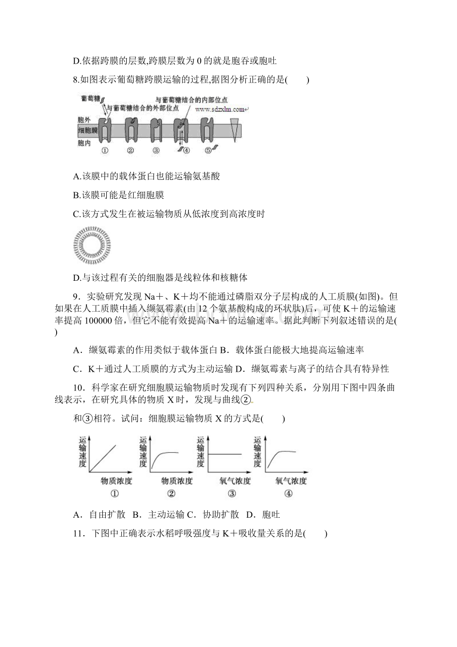 新泰一中届高三第一次单元测试 生物.docx_第3页