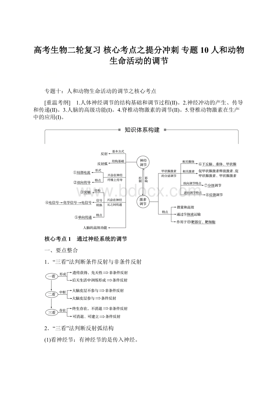 高考生物二轮复习 核心考点之提分冲刺 专题10 人和动物生命活动的调节Word下载.docx