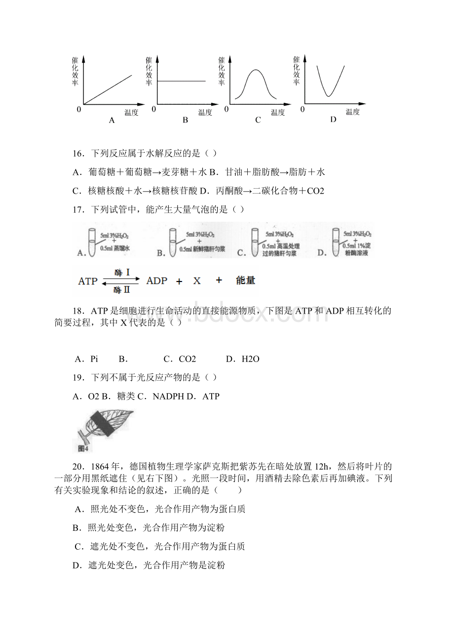 配套K12上海市学年高一生物上学期期末考试试题.docx_第3页