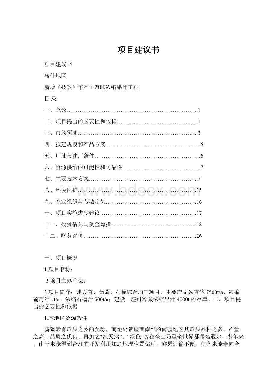 项目建议书Word文档格式.docx