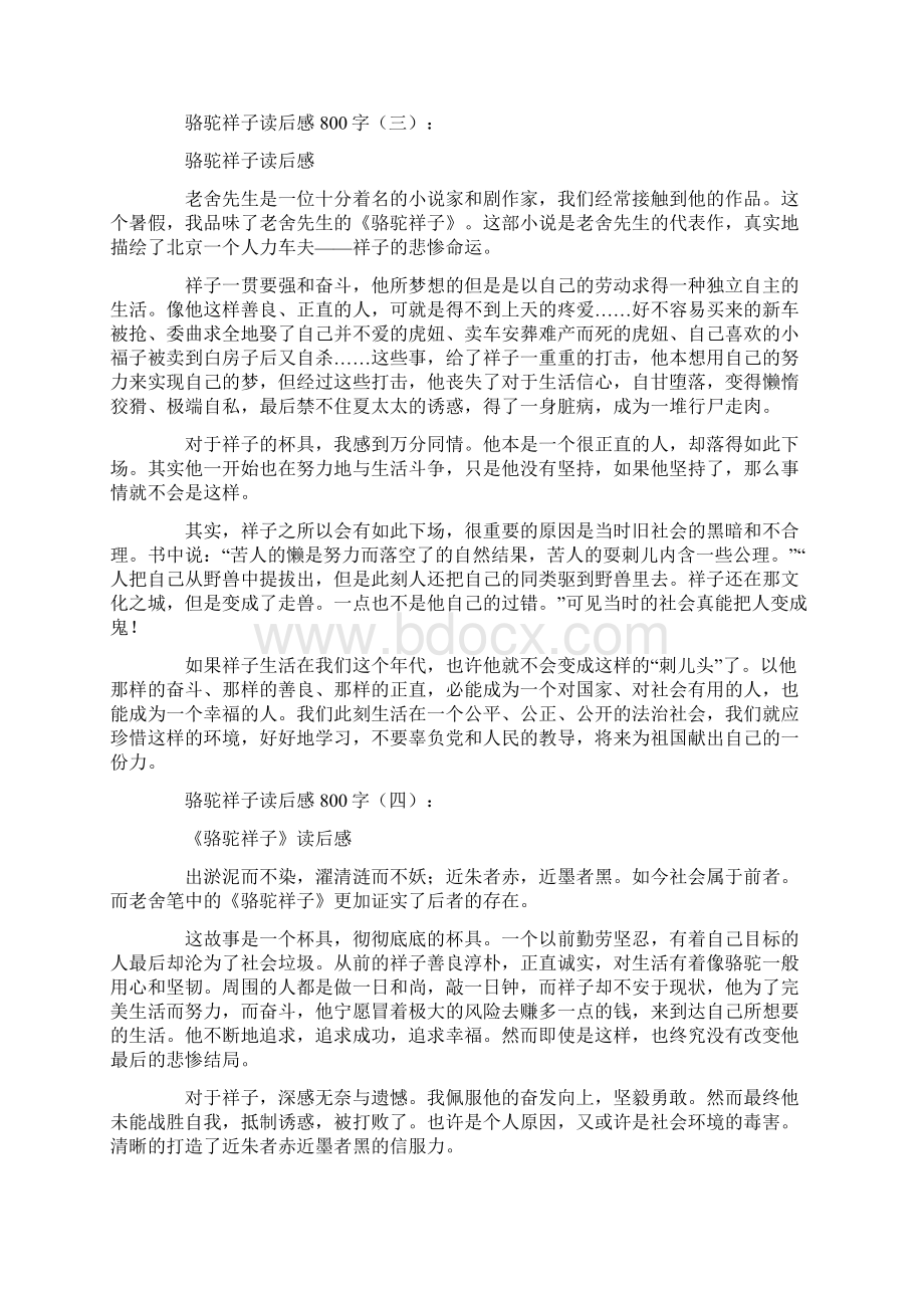 读后感骆驼祥子读后感800字20篇Word格式文档下载.docx_第3页