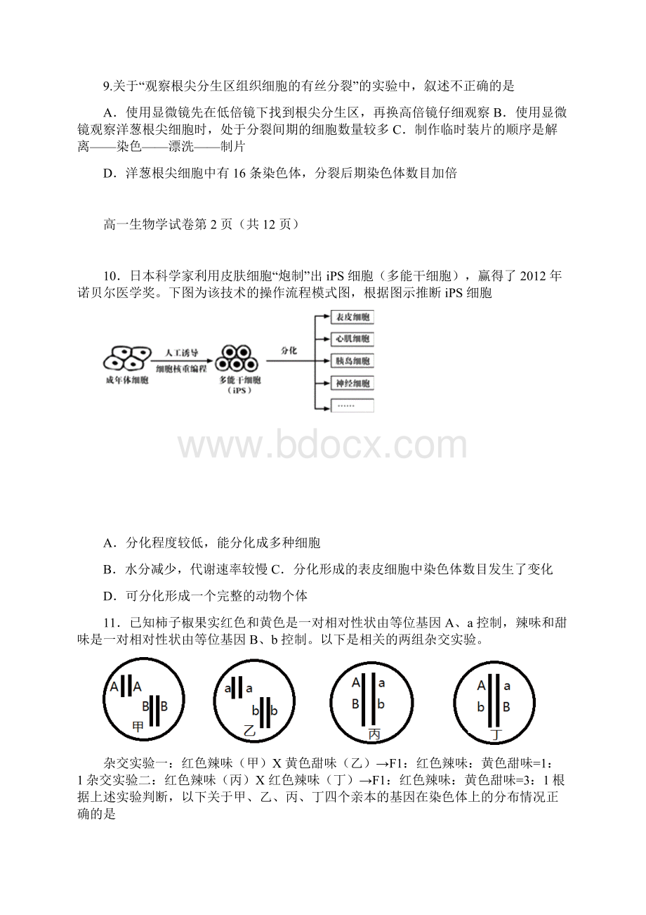 北京市联考学年高一生物下学期期末考试试题.docx_第3页