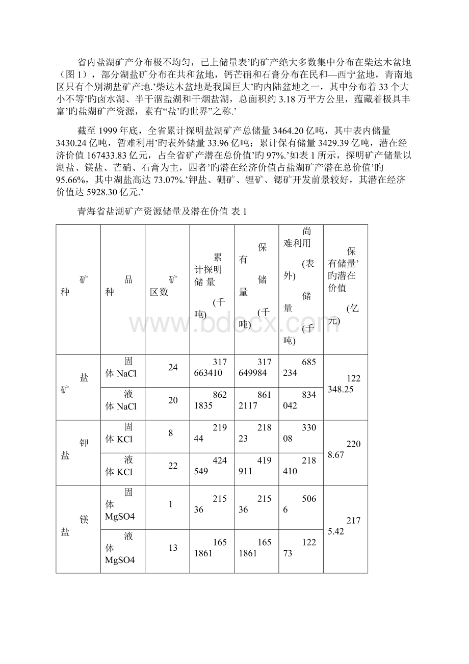 青海省盐湖矿产资源勘查开发战略规划可行性研究报告.docx_第2页