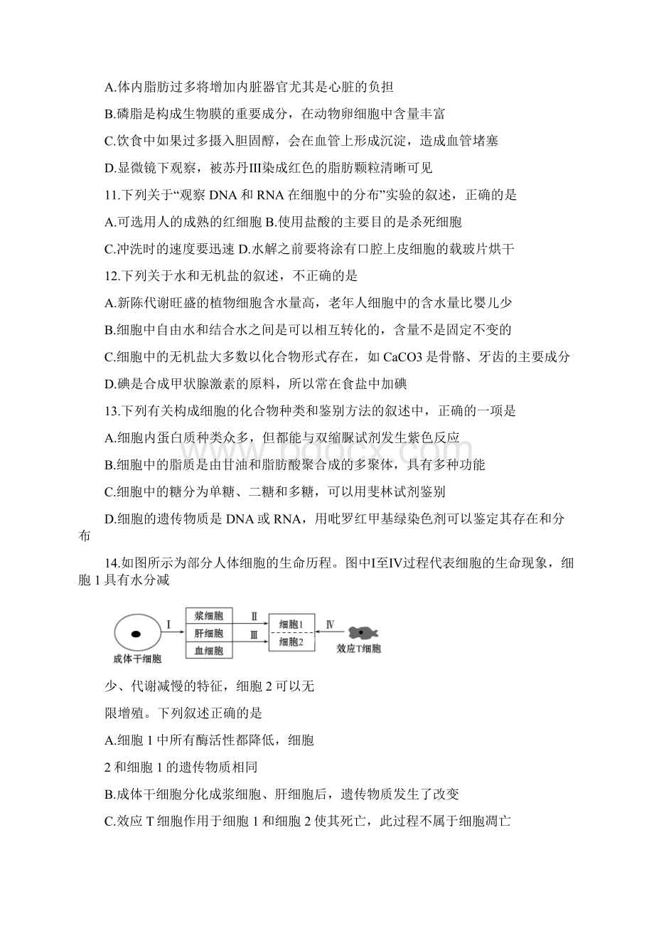 四川省攀枝花市学年高二下学期期末调研检测生物试题含答案.docx_第3页