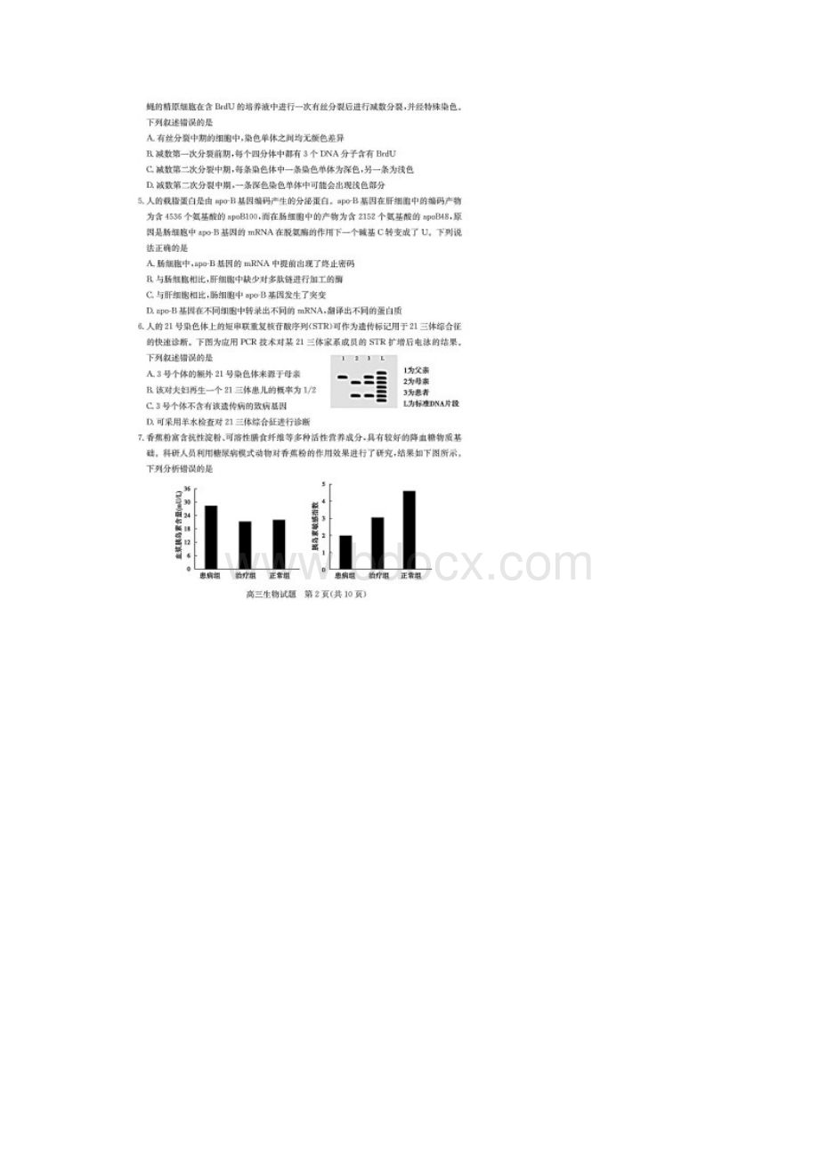 山东省德州市届高三一模生物试题含答案解析Word文件下载.docx_第2页