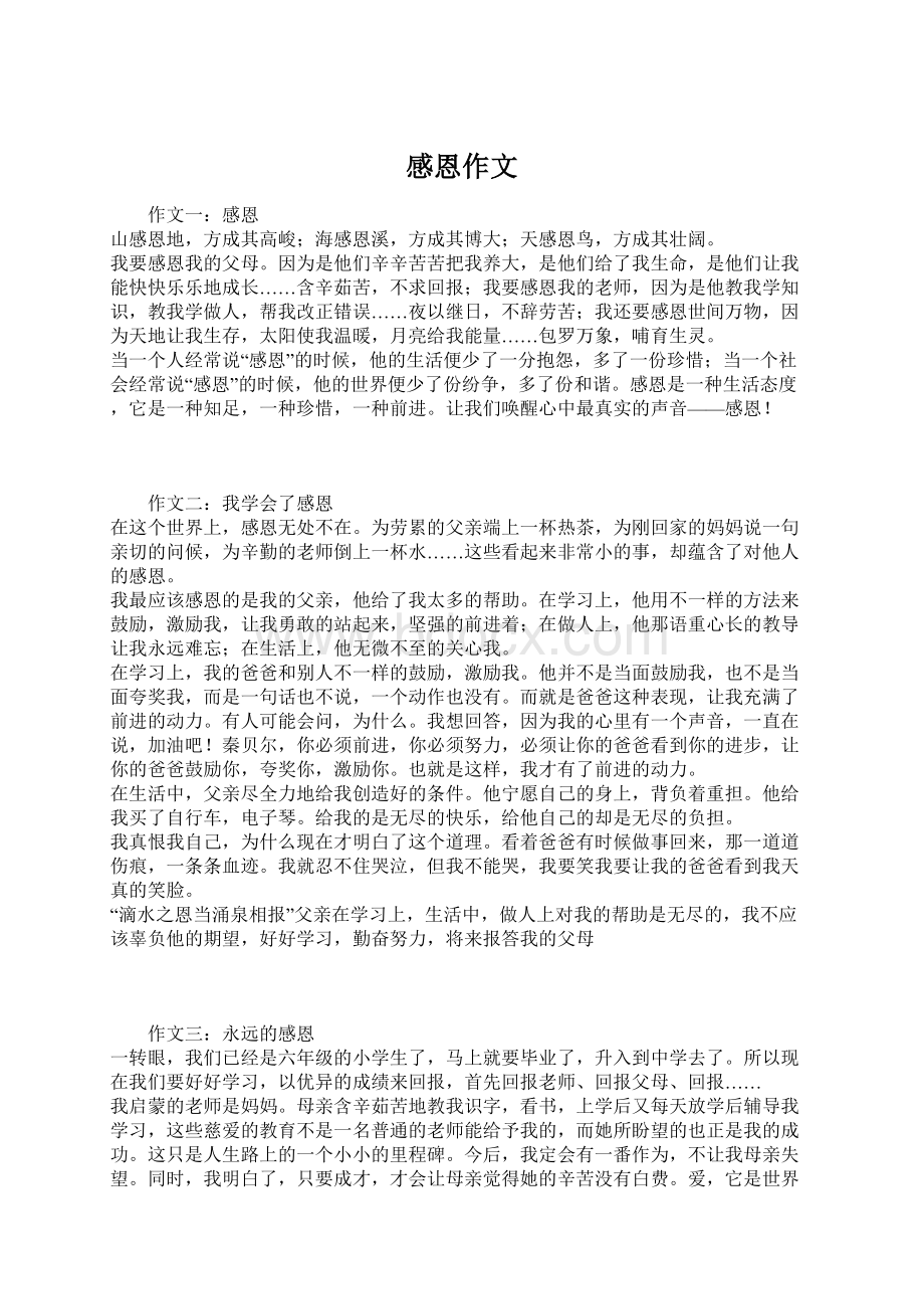 感恩作文Word格式文档下载.docx